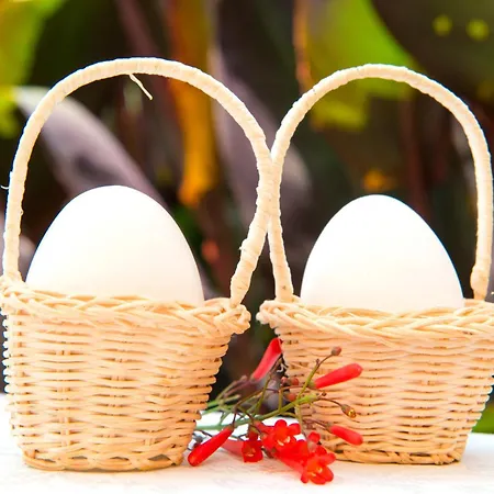 فندق Kostem - Special Category 3*