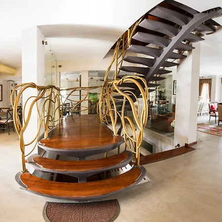 Kostem - Special Category