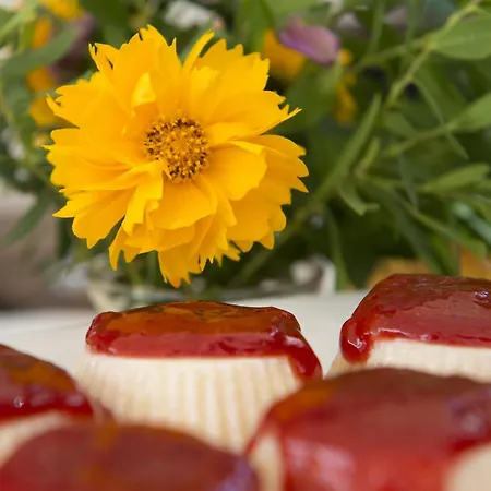 Kostem - Special Category فندق 3*