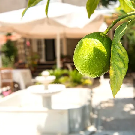 Hotel Kostem - Special Category 3*