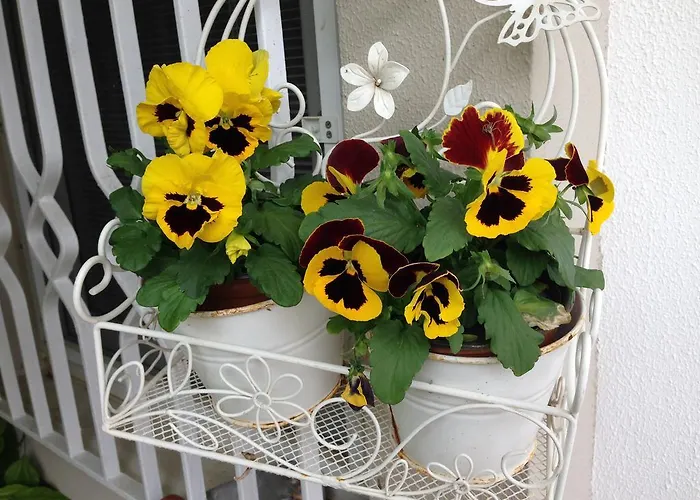 Kostem - Special Category Szálloda