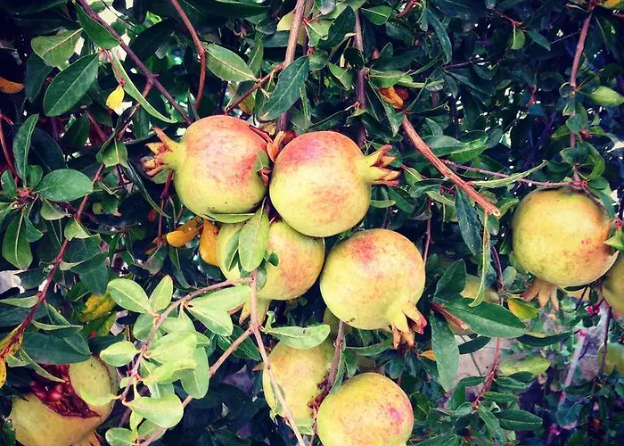 Kostem - Special Category ホテル 3*